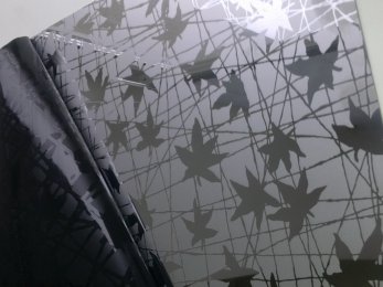 Лист нержавеющий декоративный 0,8мм 1,22х2,5 430 вид 2